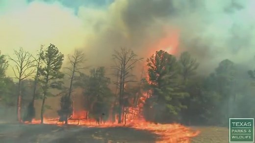 The Speed Of Wildfire