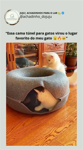 🚨Comprei essa cama túnel para gatos e👇 agora ele não sai mais de dentro #shopee #achadinhos #shorts