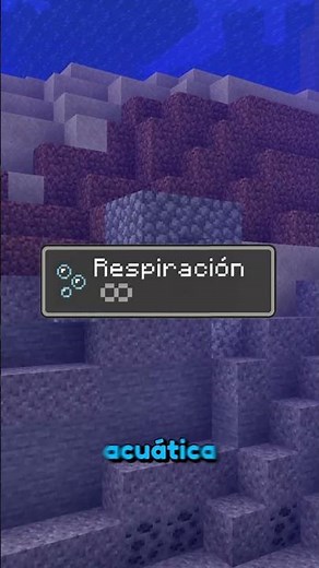 ¡Chunk! 🤯😱 #minecraft