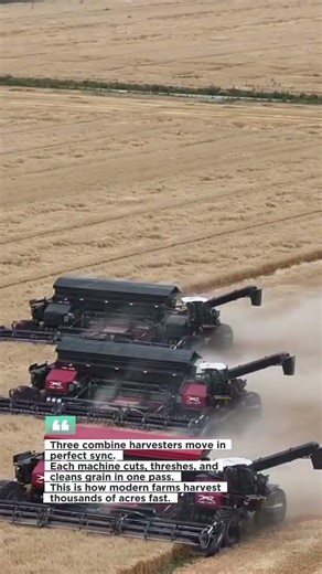 Three Harvesters. One Field. Total Efficiency. #farming #harvest #agriculture