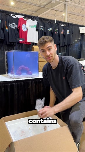 109K views · 2.9K reactions | Inside this box contains a rare fish… | CoralFish12g | Facebook