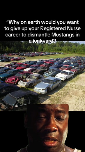Living the Dream: Dismantling Mustangs in a Junkyard