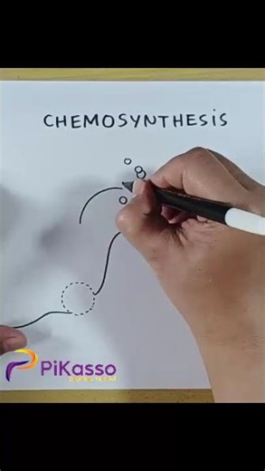 How to Draw Chemosynthesis Diagram in Less Than One Minutes
