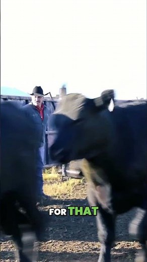 Ranching Success: How to Raise Cattle the *Right* Way!