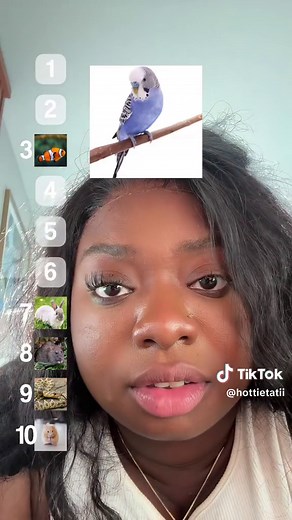 Ms. Tati on TikTok