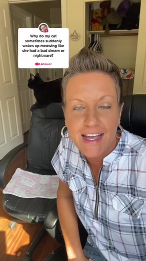 Do Cats Dream? Exploring the Fascinating World of Cat Dreams