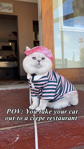 Anna Kreynina on Instagram: "Can you imagine if it was shrimp crepe? 🍤 🦐 😂"