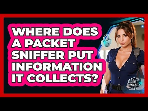 Where Does A Packet Sniffer Put Information It Collects? - SecurityFirstCorp.com