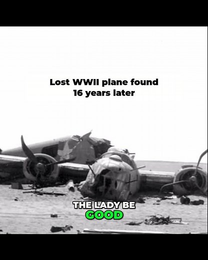 Lost WW2 Plane Found After 16 Years #history #ww2 #survivalstory