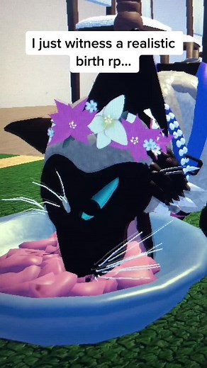 Private Server Commands for Warrior Cats Ultimate Edition Roleplay