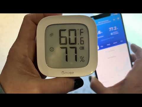 The SCOOP - Govee Wifi Thermometer