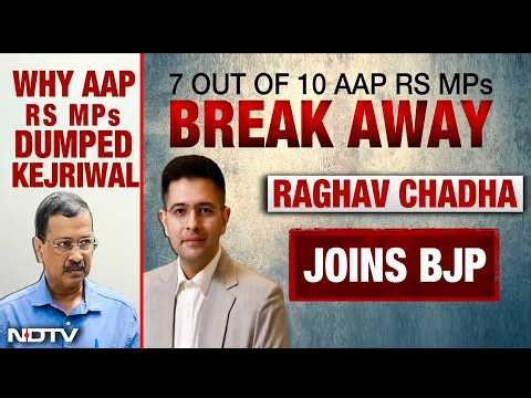 Raghav Chadha Joins BJP | Why 7 AAP's Rajya Sabha MPs Broke Away And What It Means Legally