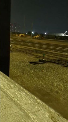 Train Hopping Flat Car