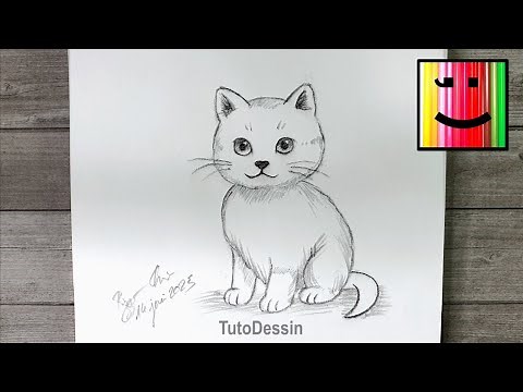 Comment dessiner un chat au crayon de papier | Tutoriel de dessin