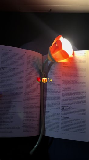 Cute Lamps for Bible Study from Dollar Tree!