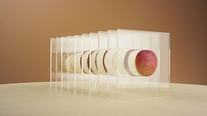 42K views · 51 reactions | Get the stock market basics so you can kill it at your next cocktail party, pyjama party... Or anywhere, really. | Wealthsimple | Facebook