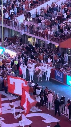 Bevo enters DKR before UT Longhorns vs Texas A&M 2025 football game