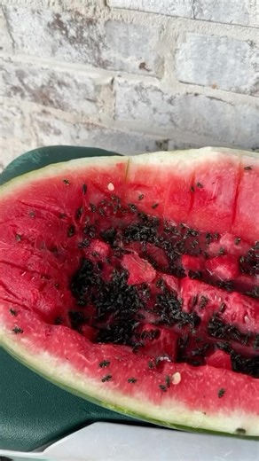 25K views · 40K reactions | EASY FLY REPELLANT 練 Craft your own DIY...