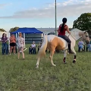 290K views · 6.5K reactions | This was my second time free riding...