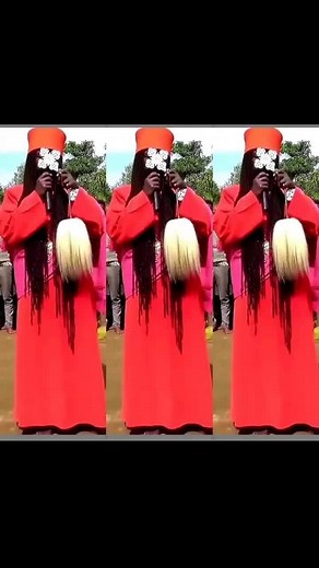 Ceremonial Red Robe Display with Flower Object