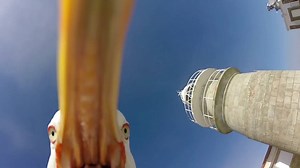 1.2K reactions · 430 shares | Fake or legit? via. GoPro | Active Traveller Magazine | Facebook