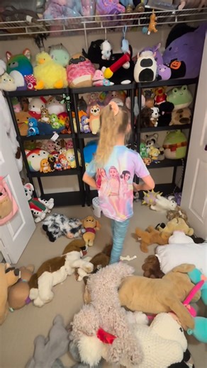 1K views | #Stuffies #organization #squishmalows #satisfying #weekendvibes | Robyn Alexandria Hunt | Facebook