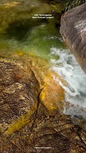 70K views · 2.4K reactions | CBL Terengganu (Chemerong . Berembun ....