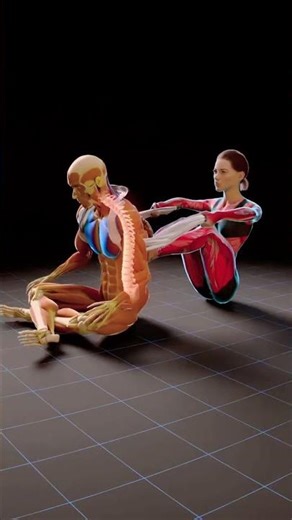 Partner Assisted Stretch