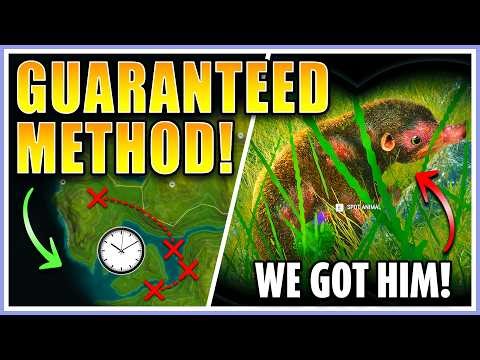 This Wild Haggis Cost Me EVERYTHING! Complete Wild Haggis Guide 2026 - theHunter Call of the Wild