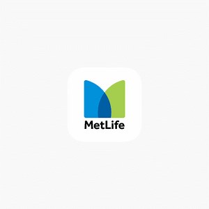 Verify the Metlife Account Statement in Mexico - VidaBytes