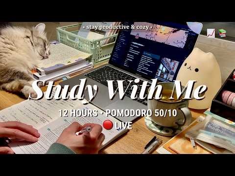 10 HR • STUDY WITH ME | Pomodoro 50/10 | Fireplace Sound 🔥