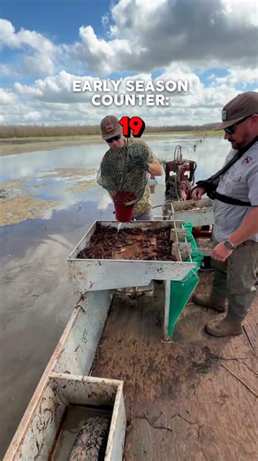 How Many Traps To Fill Boat During Early Crawfish Season