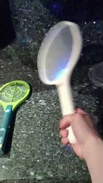 What is the best electric fly swatter?