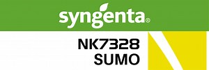 NK7328 | Syngenta