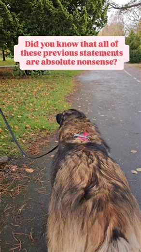 Categorical proof that positive reinforcement training doesn't work... Watch til.the end. We weren't able to resolve this dog's dislike of people and dogs using reward based training. Make sure you watch the whole thing for why. | Glasgow Dog Trainer and Behaviour Consultant