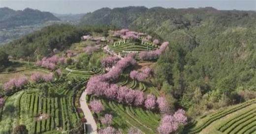 Spring break in China energizes students, boosts travel