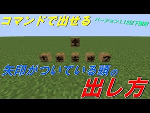 【コマンド紹介】矢印がある頭ブロックの出し方 【マインクラフト】