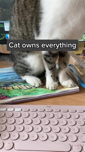 Annamarie Uren on TikTok