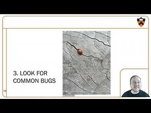 COS 217 Fall 2020 Lecture11 - Debugging