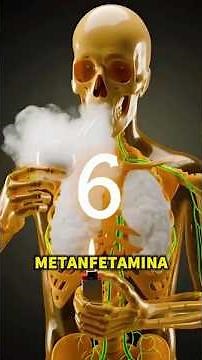 WHAT HAPPENS TO YOUR BRAIN WHEN YOU USE METHAMPHETAMINES