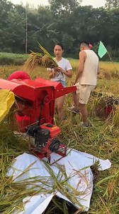 177K views · 732 reactions | Multi-functional thresher, threshing wheat, sorghum, paddy, soybean, etc. 500-600kg/h capacity. #thresher #farmmachine | Mini Rice Mill Machine | Facebook