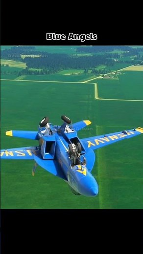 F/A-18 Blue Angels landing gear deployment #aviation #military