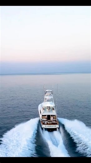 Los Sueños | Sport fishing at Los Sueños Resort and Marina is defined by access, consistency, and world-class results 🎣🌊 Recognized as the capital of... | Instagram