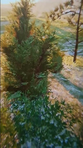 Red dead redemption 2 in VR on a pimax 8kx with an rtx 4090