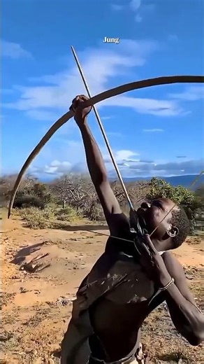 Voo no céu! | Caçador atento lá embaixo | आकाश में पक्षियों की यात्रा — नीचे सतर्क शिकारी