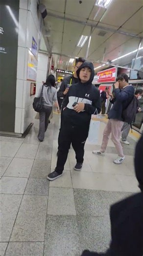 Walking in Seoul_Metro Screen door