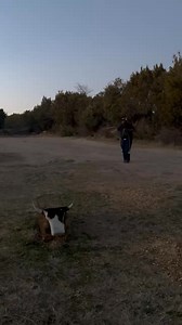 4.4K views · 42 reactions | Bigreach can teach you how to reach lessons available daily private or group 3466146759text | Camish Jennings | Facebook