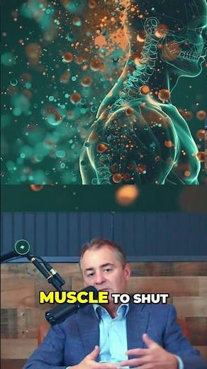 The Power of Nitric Oxide and Creatine