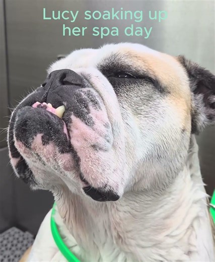 Lucy Knows She Deserves This