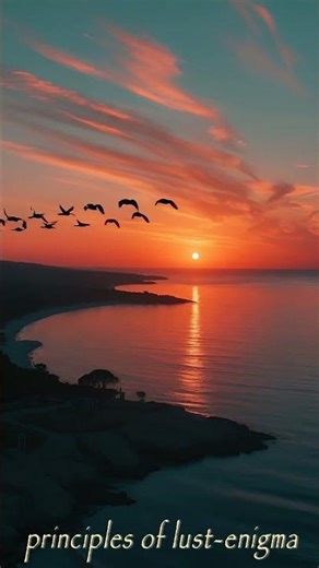 principles of lust#enigma#sunset